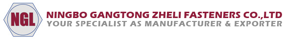 Ningbo Gangtong Zheli Fasteners: Över 20 år av professionell tillverkning, stärkande global försörjningskedja för fästelement